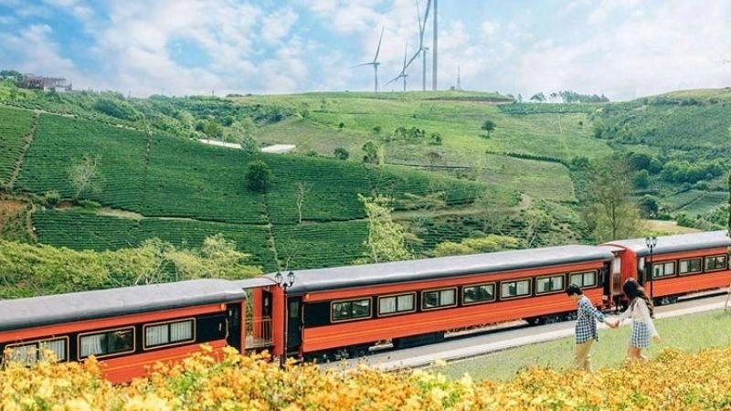 Khám phá Đồi chè Cầu Đất với nhiều trải nghiệm