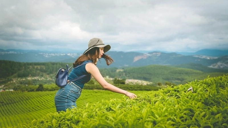 Đà Lạt xanh mướt níu chân bao du khách