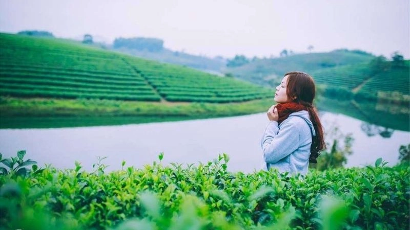 Kinh nghiệm cá nhân khi check-in đồi chè Cầu Đất