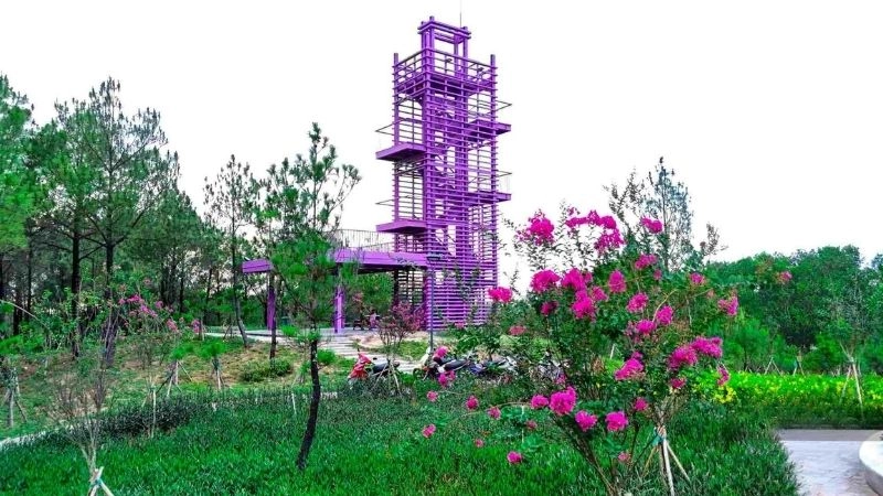 Bình yên Đồi Vọng Cảnh giữa trời đất cố đô