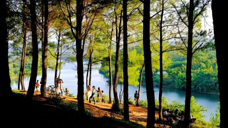 Kinh nghiệm cá nhân để tận hưởng đồi Vọng Cảnh trọn vẹn