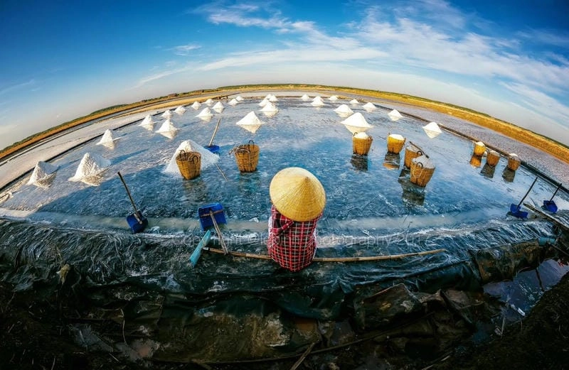 Vẻ đẹp lao động trên Đồng muối Bạc Liêu