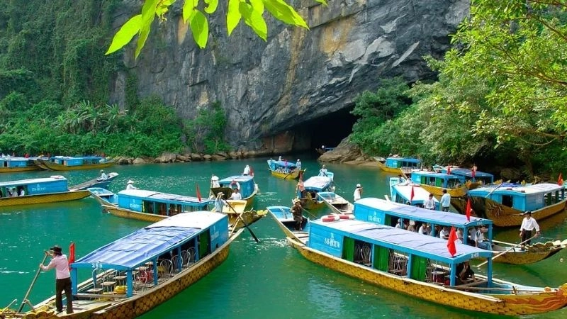 Thời điểm lý tưởng để tận hưởng trọn vẹn động Phong Nha