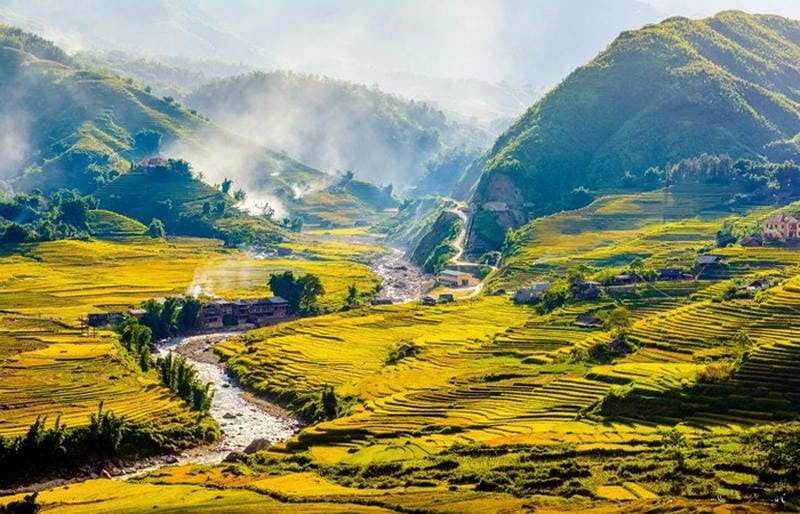 Khám phá thời gian lý tưởng để đến Sapa mùa lúa chín cùng thiên nhiên rực rỡ