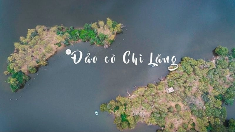 Đảo Cò Chi Lăng Nam là một vùng đất sinh thái hiếm