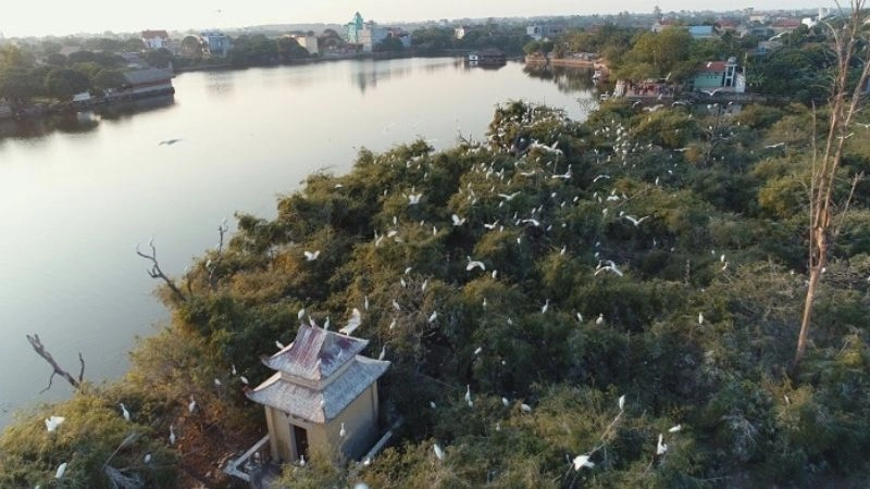 Thời điểm lý tưởng để tham quan Đảo Cò Chi Lăng Nam