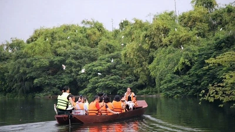 Đảo Cò Chi Lăng Nam nơi chim trời hội tụ muôn màu