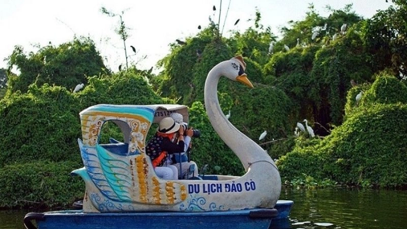 Đắm mình sắc xanh Đảo Cò Chi Lăng Nam say đắm