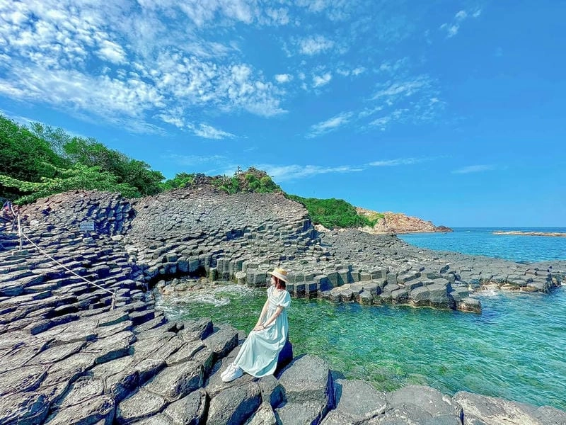 Khám phá Gành Đá Đĩa Phú Yên ảnh tại vùng đất hoa vàng