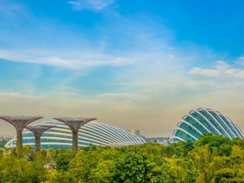Supertree Grove Gardens by the Bay biểu tượng xanh giữa lòng Singapore
