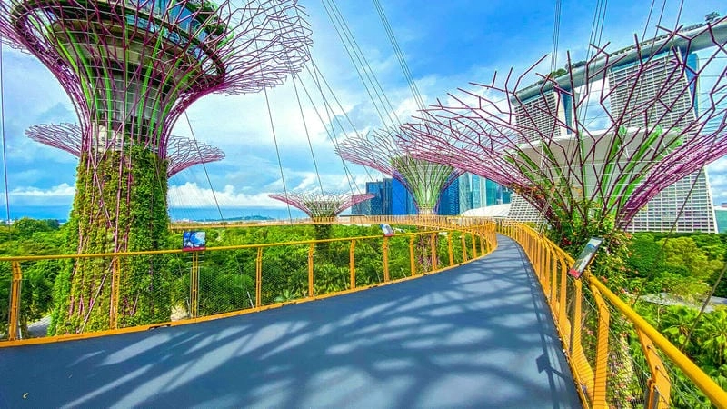 Supertrees Singapore biểu tượng kiến trúc xanh nổi tiếng toàn cầu