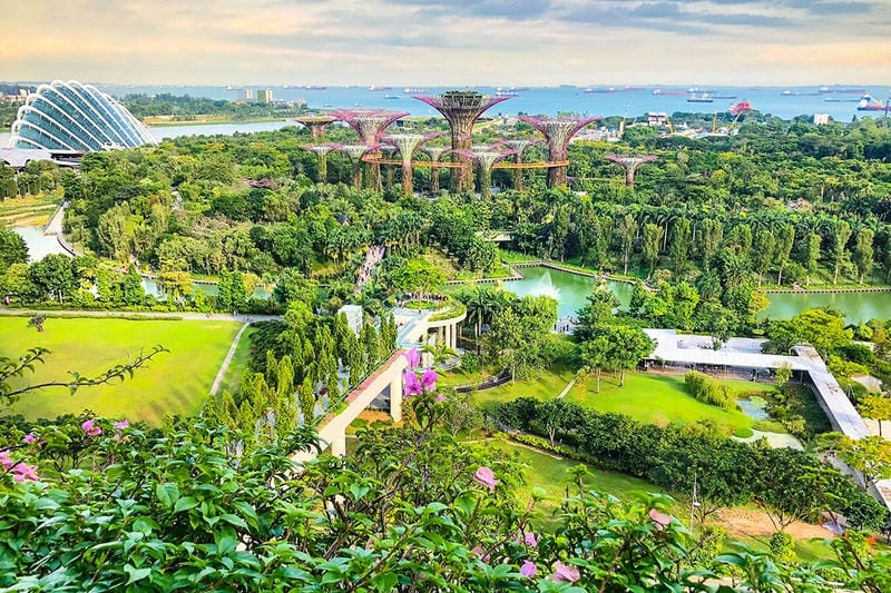 Supertree Grove ban ngày vẻ đẹp mát lành trong ánh nắng Singapore