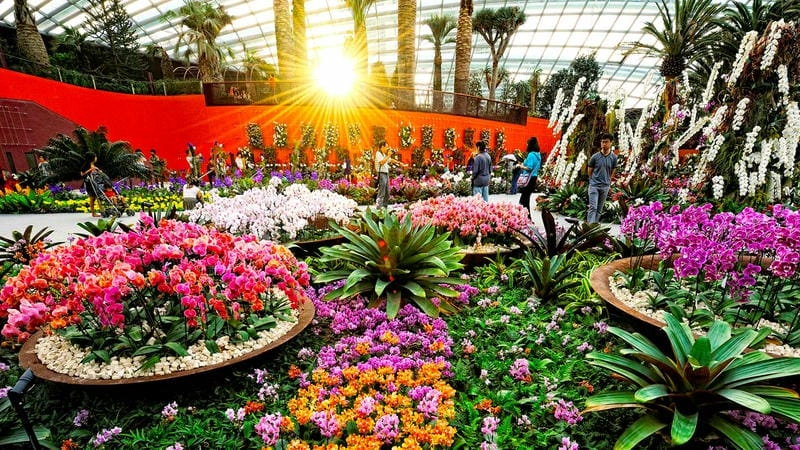 Thiết kế Supertree Grove sự kết hợp hài hòa giữa thiên nhiên và công nghệ