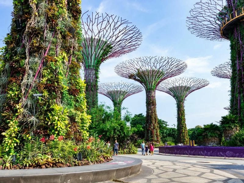 Cây siêu Supertree Grove thiết kế khổng lồ đầy sáng tạo và ấn tượng