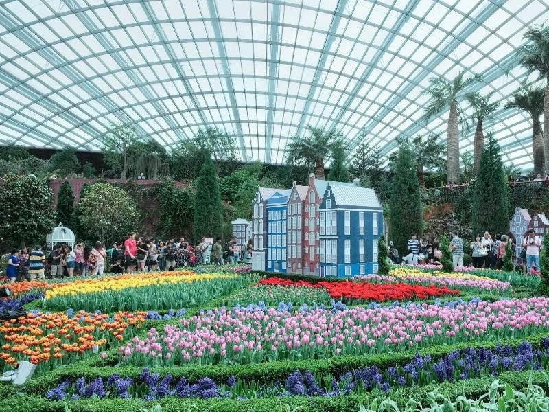 Kiến trúc Supertree Grove kỳ quan xanh độc đáo mang tầm quốc tế
