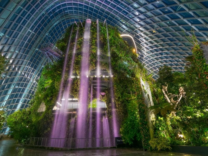 Lễ hội ánh sáng Supertree Grove trải nghiệm hấp dẫn về đêm tại Singapore