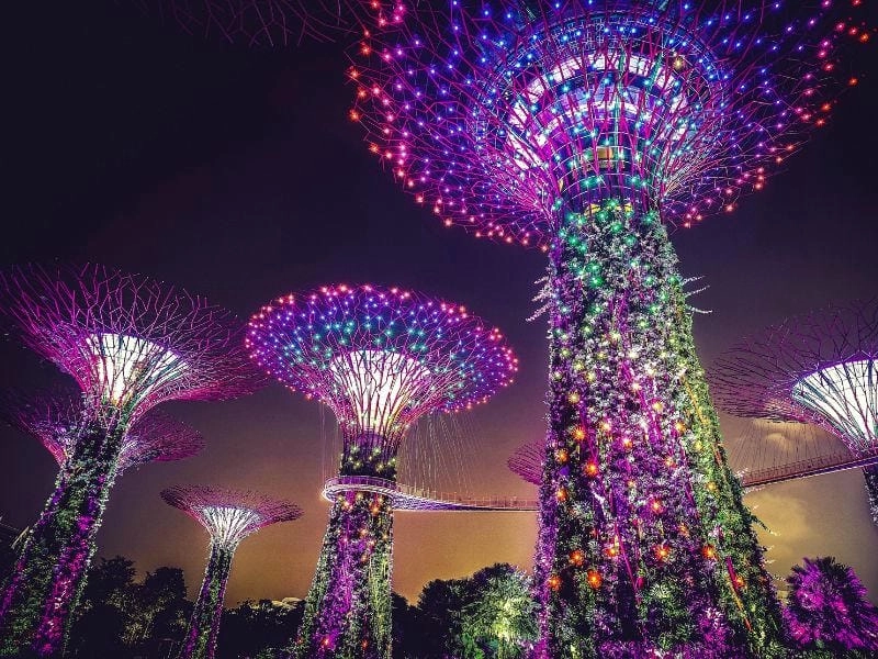 Ánh sáng Supertree Grove về đêm rực rỡ lung linh giữa vịnh Marina