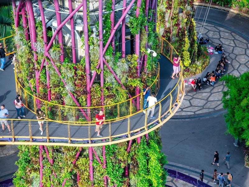 Cây cảnh Supertree Grove không gian xanh độc đáo giữa đô thị hiện đại