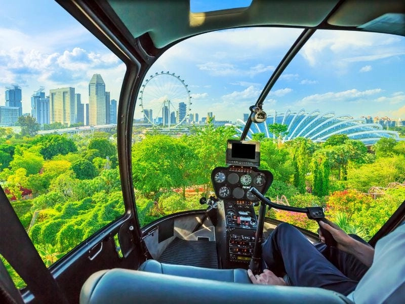 Vườn Gardens by the Bay Supertree không gian xanh hiện đại nổi bật