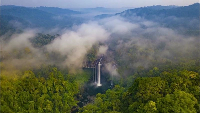 Sương sớm bao phủ Vườn quốc gia Kon Ka Kinh