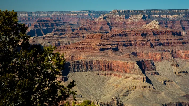 Cảnh vật hùng vĩ của Grand Canyon khiến tim bạn rung động