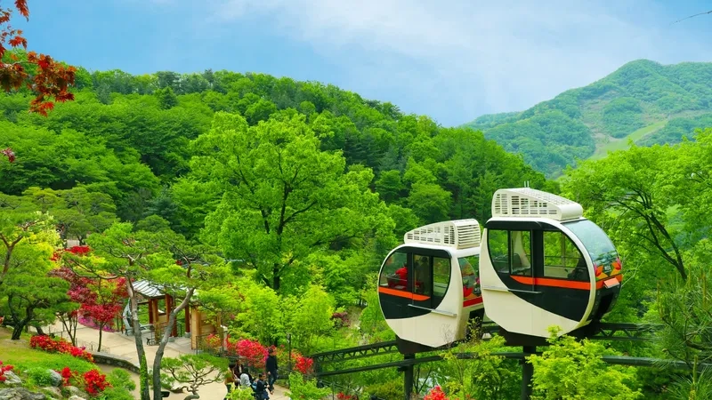 Hòa mình vào thiên nhiên tươi đẹp ở Gyeonggi-do