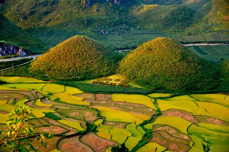 Mùa lúa Hà Giang – bức tranh đồng quê yên bình