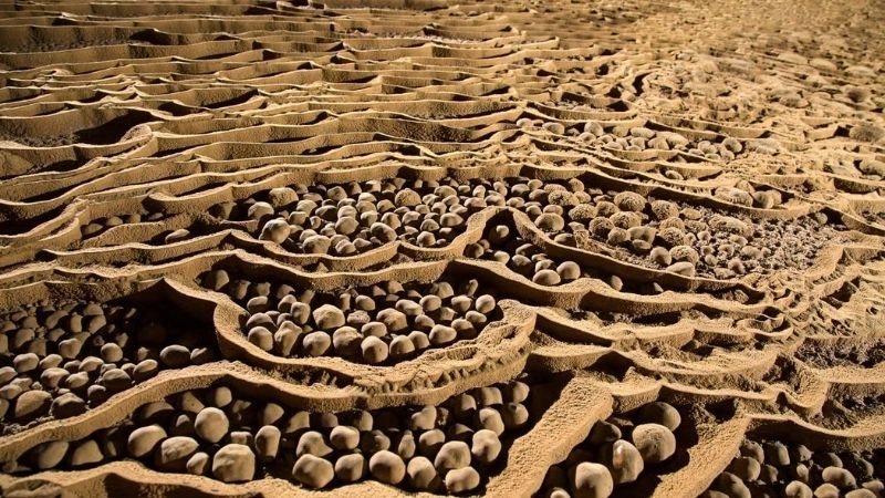 Thạch nhũ Hang Sơn Đoòng tạo hình kỳ thú