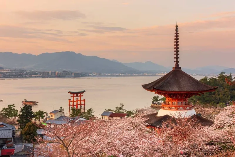 Hiroshima bình yên giữa những ngày nắng đẹp