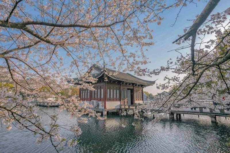 Dạo thuyền trên Hồ Tây Hàng Châu ngắm cảnh yên bình