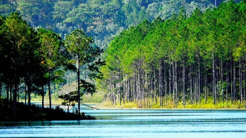 Cách di chuyển đến hồ Tuyền Lâm thuận tiện