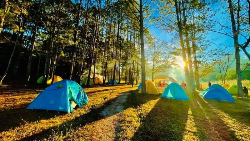 Rừng thông Hồ Tuyền Lâm xanh mướt quanh năm