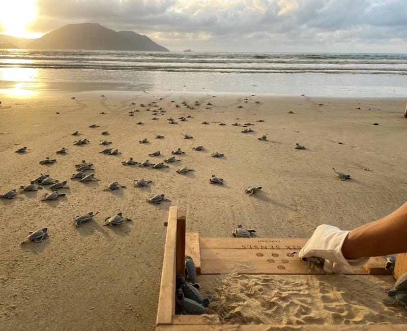 Ngắm Hoàng hôn Côn Đảo tại mũi Cá Mập thơ mộng