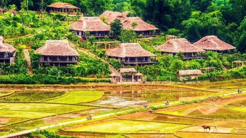 Trải nghiệm gợi ý lưu trú ấm cúng và gần gũi với thiên nhiên đáng nhớ