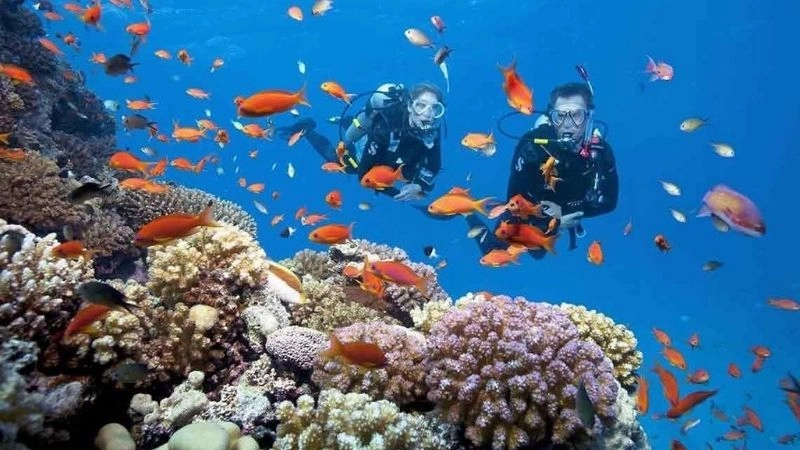 Kinh nghiệm cá nhân khi tham quan Hòn Mun