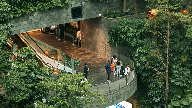 Cảm nhận không gian xanh mát tại Jewel Changi Airport