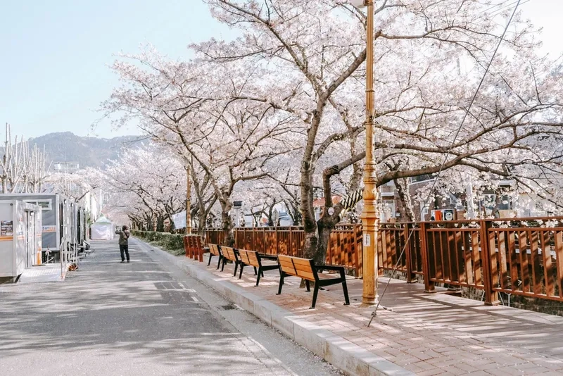 Lịch sử hình thành và phát triển của Jinhae