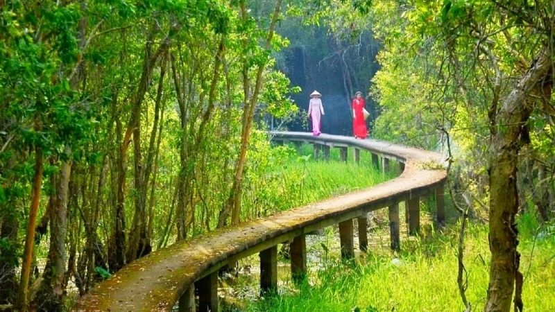 Cách di chuyển đến khu du lịch sinh thái Đồng Tháp Mười 