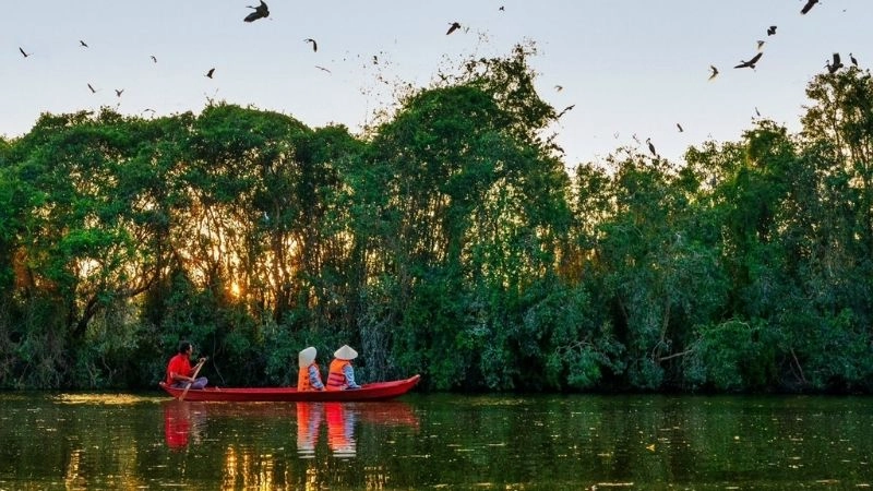 Thiên nhiên Đồng Tháp Mười trù phú và quyến rũ