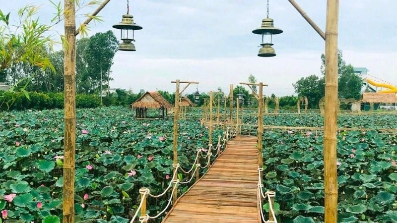 Hệ sinh thái Đồng Tháp Mười đa dạng và phong phú