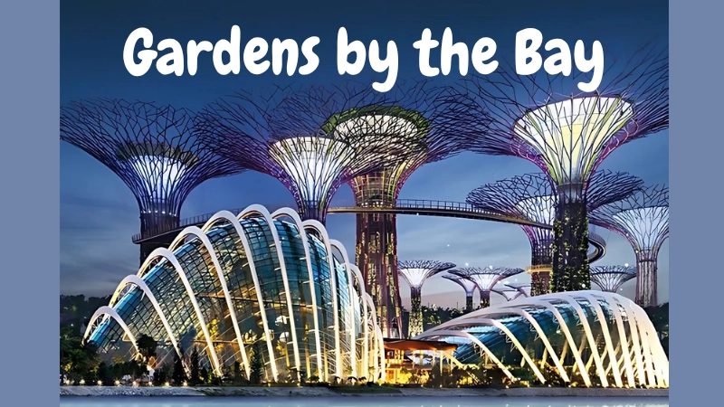 Kiến trúc và những khu vực nổi bật trong Gardens by the Bay