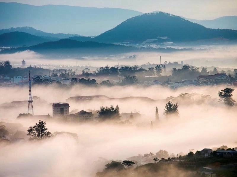 Đừng bỏ lỡ các hoạt động và trải nghiệm tại Đà Lạt mùa đông