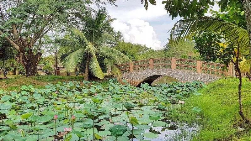 Bình yên Làng cổ Phước Lộc Thọ giữa không gian xưa