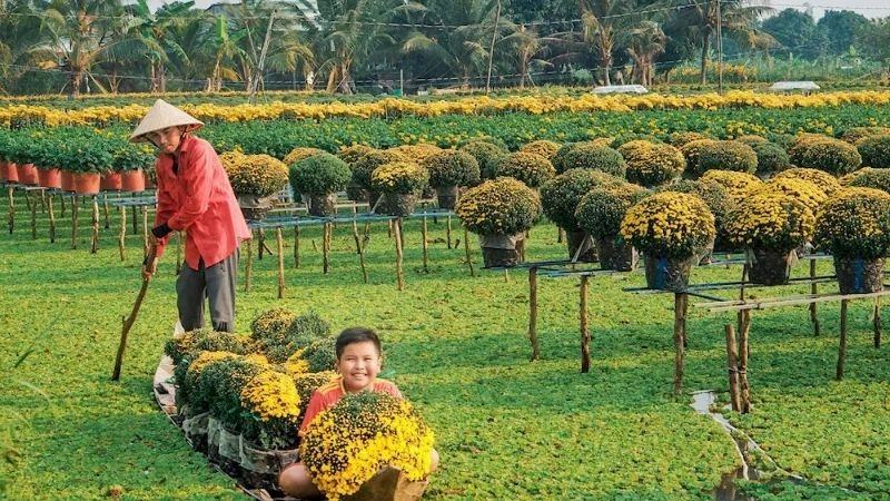 Du lịch Đồng Tháp khám phá vùng đất ngập tràn hoa