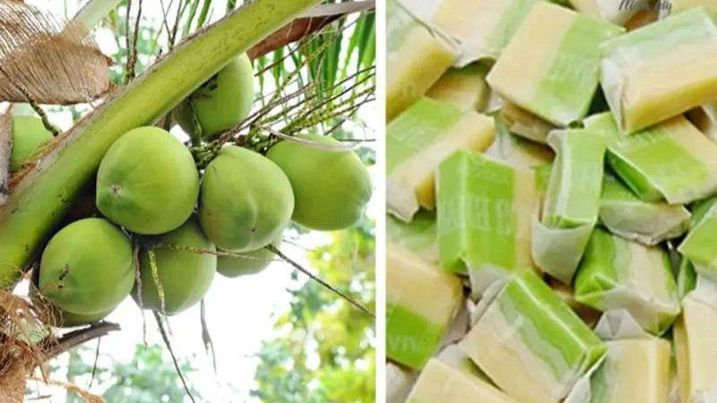 Thời điểm lý tưởng đến thăm làng nghề kẹo dừa Bến Tre