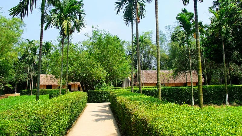 Làng Sen quê Bác Nghệ An ảnh với đồng sen xanh mát bên nhà sàn