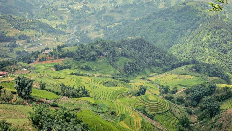 Vẻ đẹp bình yên Lào Cai qua những con đường núi rừng