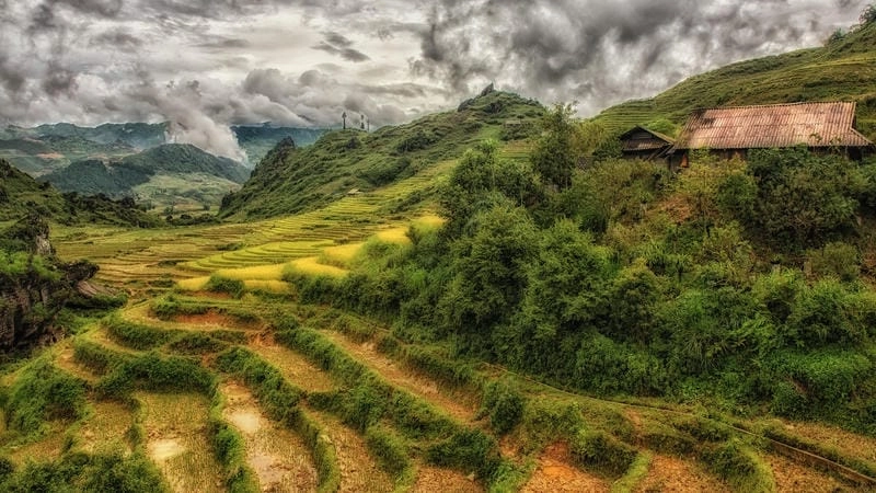 Khám phá ruộng bậc thang Lào Cai qua những góc chụp tuyệt mỹ