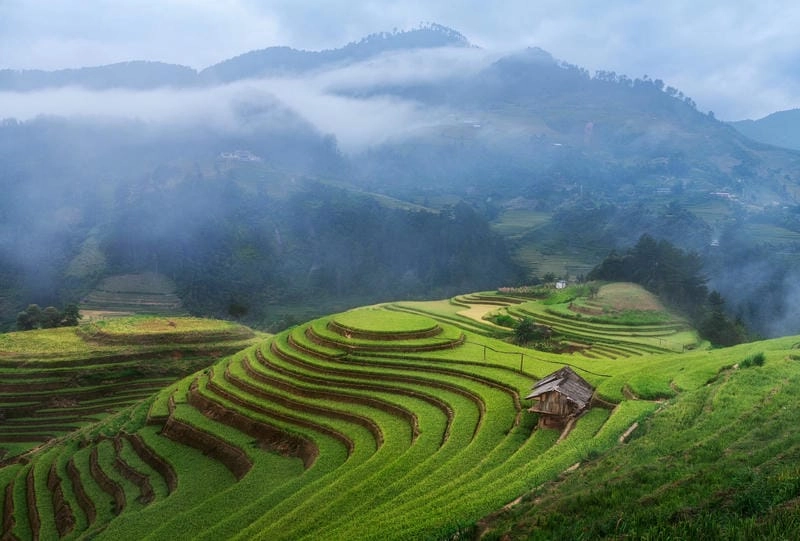 Vẻ đẹp bình yên Lào Cai qua những con đường núi rừng