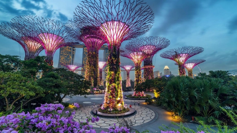 Lịch sử và quá trình hình thành Gardens by the Bay